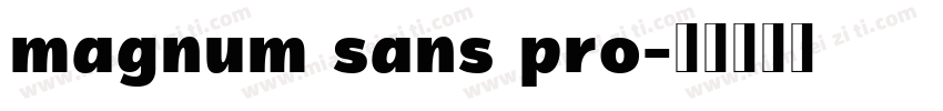 magnum sans pro字体转换